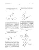 KINASE INHIBITORS diagram and image