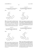 KINASE INHIBITORS diagram and image