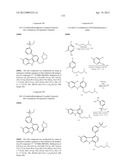 KINASE INHIBITORS diagram and image