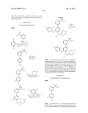 KINASE INHIBITORS diagram and image