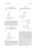 KINASE INHIBITORS diagram and image