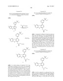 KINASE INHIBITORS diagram and image