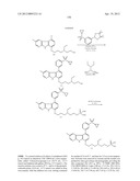 KINASE INHIBITORS diagram and image