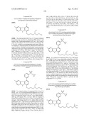 KINASE INHIBITORS diagram and image