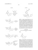 KINASE INHIBITORS diagram and image