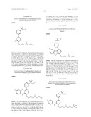 KINASE INHIBITORS diagram and image