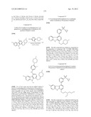 KINASE INHIBITORS diagram and image