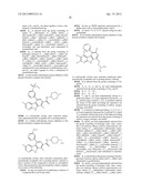 KINASE INHIBITORS diagram and image