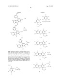 KINASE INHIBITORS diagram and image