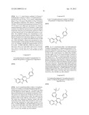 KINASE INHIBITORS diagram and image