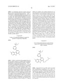 KINASE INHIBITORS diagram and image