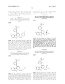 KINASE INHIBITORS diagram and image