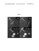 THIOFLAVIN DERIVATES FOR USE IN THE ANTEMORTEM DIAGNOSIS OF ALZHEIMER S     DISEASE AND IN VIVO IMAGING AND PREVENTION OF AMYLOID DEPOSITION diagram and image