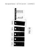 MICROCHANNEL PROCESSOR diagram and image