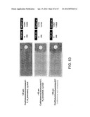 MICROCHANNEL PROCESSOR diagram and image