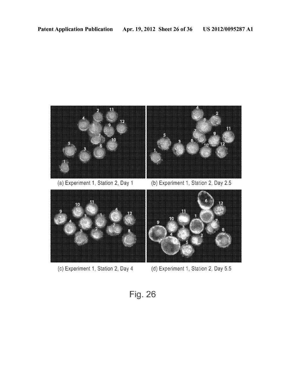 IMAGING AND EVALUATING EMBRYOS, OOCYTES, AND STEM CELLS - diagram, schematic, and image 27