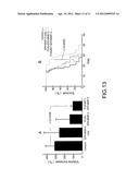 TREATMENT OF BRAIN DISEASES VIA ULTRASOUND/MAGNETIC TARGETING DELIVERY AND     TRACING OF THERAPEUTIC AGENTS diagram and image