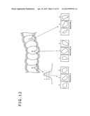 INFORMATION PROCESSING APPARATUS AND INFORMATION PROCESSING METHOD AND     PROGRAM FOR THEM diagram and image