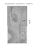 ULTRASOUND TRANSDUCER AND COOLING THEREOF diagram and image