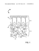 SYSTEMS AND METHODS FOR AN ADVANCED MEDICAL DEVICE diagram and image