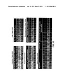 MULTITENANT HOSTED VIRTUAL MACHINE INFRASTRUCTURE diagram and image