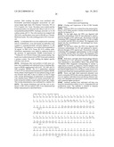 ANTI-IL-6 ANTIBODIES,COMPOSITIONS, METHODS AND USES diagram and image