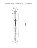 ISOLATED POLYNUCLEOTIDES AND POLYPEPTIDES, AND METHODS OF USING SAME FOR     INCREASING NITROGEN USE EFFICIENCY, YIELD, GROWTH RATE, VIGOR, BIOMASS,     OIL CONTENT, AND/OR ABIOTIC STRESS TOLERANCE diagram and image