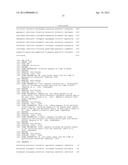 METHODS AND MEANS FOR OBTAINING PLANTS WITH ENHANCED GLYPHOSATE TOLERANCE diagram and image