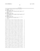 METHODS AND MEANS FOR OBTAINING PLANTS WITH ENHANCED GLYPHOSATE TOLERANCE diagram and image