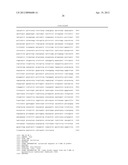 METHODS AND MEANS FOR OBTAINING PLANTS WITH ENHANCED GLYPHOSATE TOLERANCE diagram and image