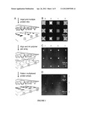 Multiplexed Biomolecule Arrays Made By Polymer Pen Lithography diagram and image