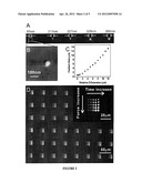 Multiplexed Biomolecule Arrays Made By Polymer Pen Lithography diagram and image