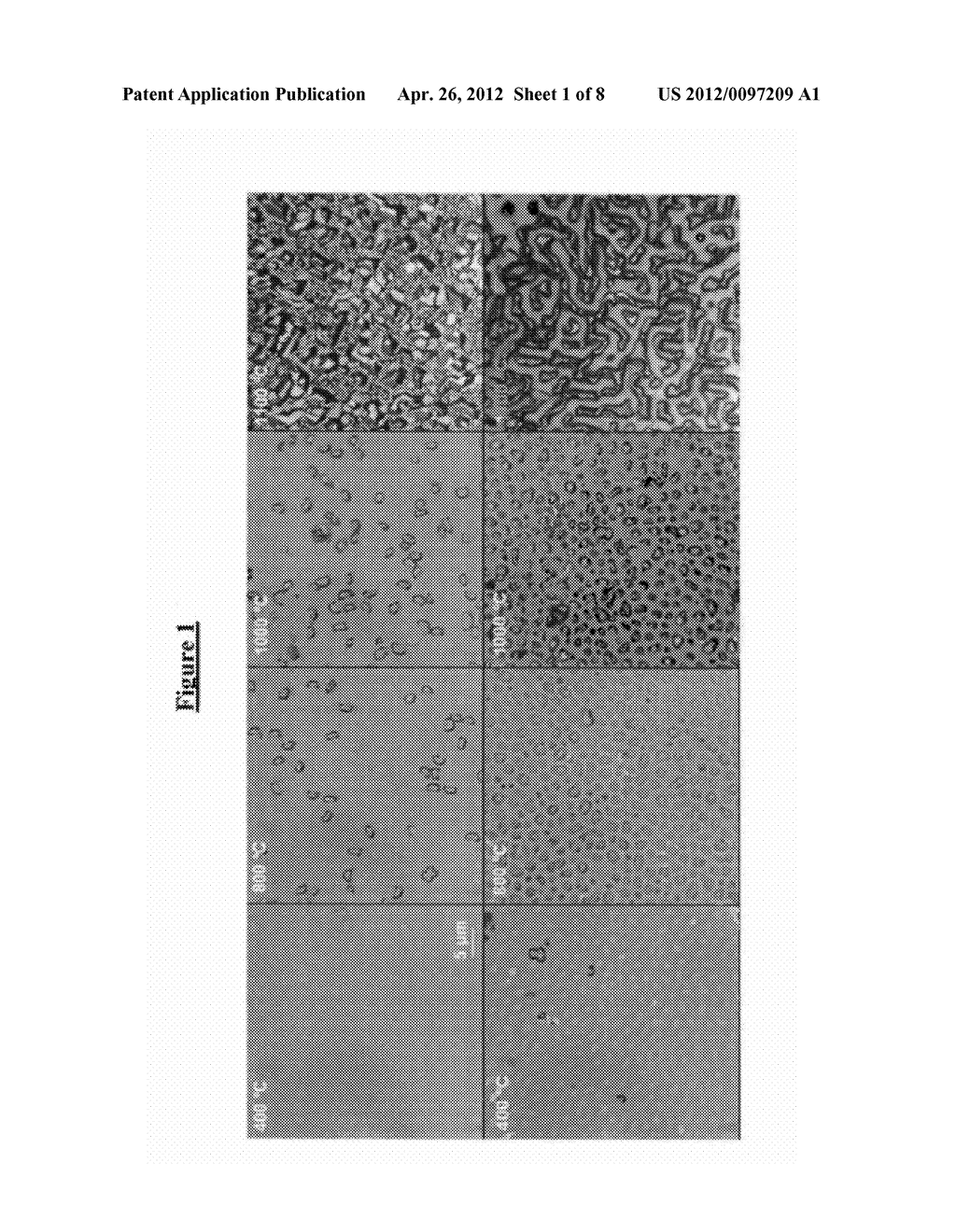 FABRICATION OF SURFACE TEXTURES BY ION IMPLANTATION FOR ANTIREFLECTION OF     SILICON CRYSTALS - diagram, schematic, and image 02