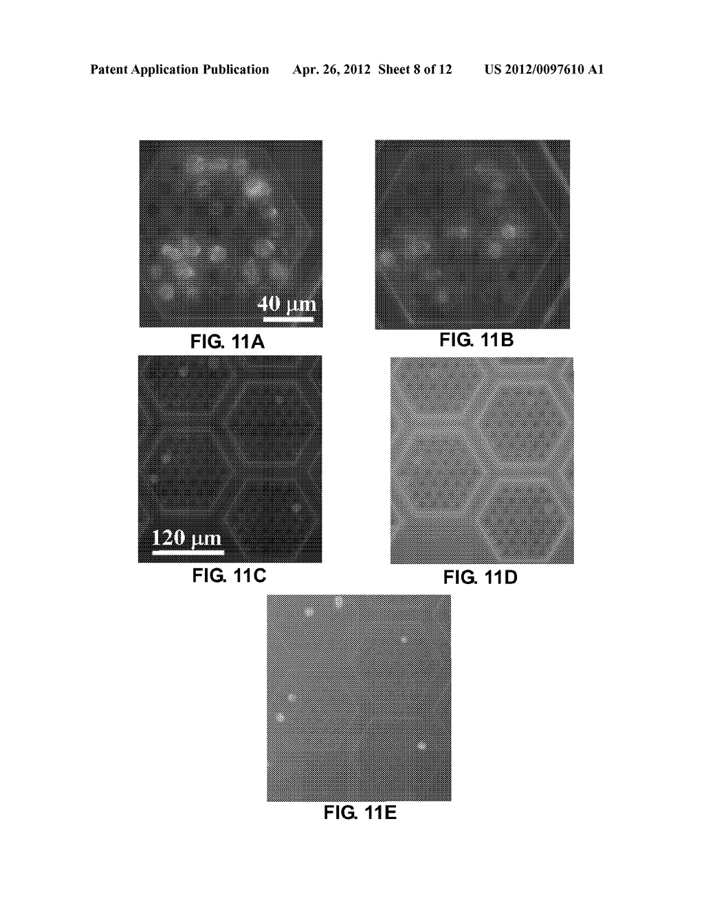 METHOD AND APPARATUS FOR MICROFILTRATION TO PERFORM CELL SEPARATION - diagram, schematic, and image 09