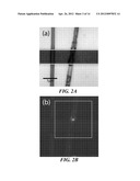 ELECTROSPUN LIGHT-EMITTING FIBERS diagram and image