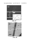 ELECTROSPUN LIGHT-EMITTING FIBERS diagram and image