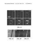 ELECTROSPUN LIGHT-EMITTING FIBERS diagram and image