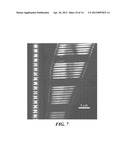 ELECTROSPUN LIGHT-EMITTING FIBERS diagram and image