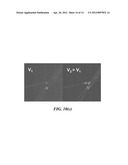 ELECTROSPUN LIGHT-EMITTING FIBERS diagram and image