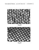 Aligned, Coated Nanowire Arrays for Gas Sensing diagram and image