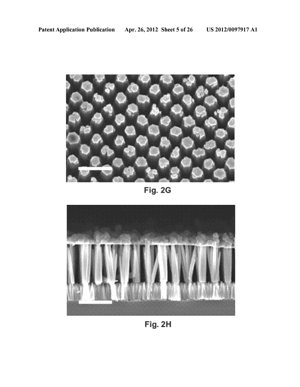 Aligned, Coated Nanowire Arrays for Gas Sensing - diagram, schematic, and image 06