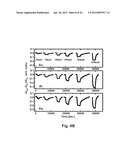 Aligned, Coated Nanowire Arrays for Gas Sensing diagram and image