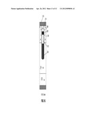 TRENCH DEVICE STRUCTURE AND FABRICATION diagram and image