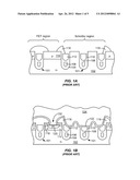 Structure and Method for Forming a Planar Schottky Contact diagram and image