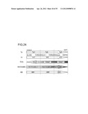 Liquid Crystal Display Device And Light Source Control Method diagram and image