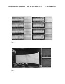 Markerless Geometric Registration Of Multiple Projectors On Extruded     Surfaces Using An Uncalibrated Camera diagram and image