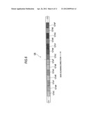 IMAGE READER, IMAGE FORMING APPARATUS, COMPUTER READABLE MEDIUM FOR IMAGE     ADJUSTMENT AND IMAGE ADJUSTING METHOD diagram and image