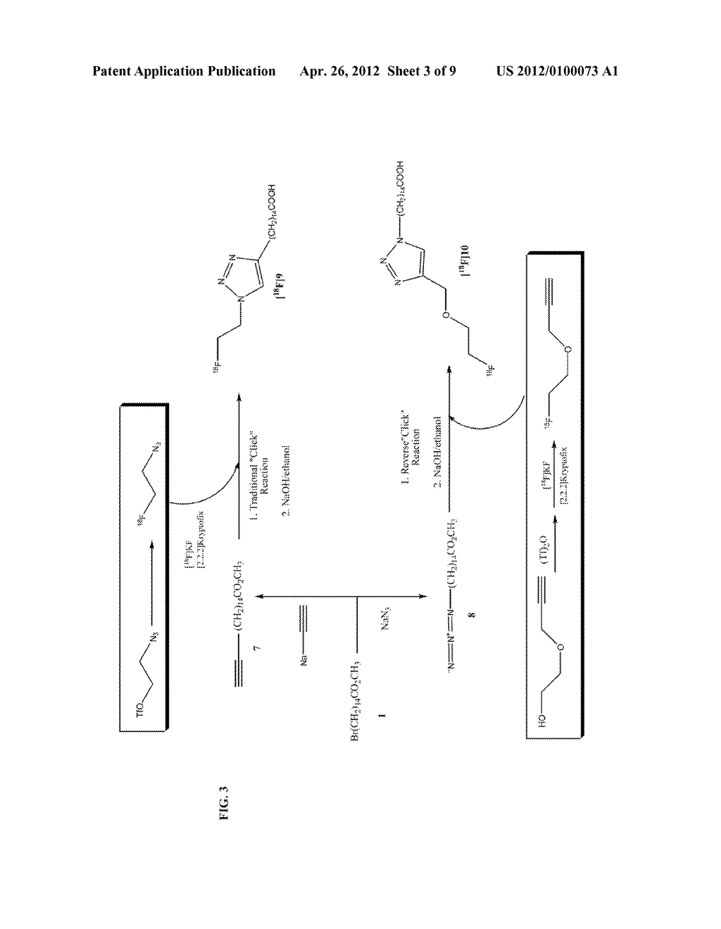 PET RADIOTRACERS FOR IMAGING FATTY ACID METABOLISM AND STORAGE - diagram, schematic, and image 04