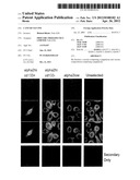 CANCER VACCINE diagram and image