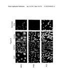 CANCER VACCINE diagram and image